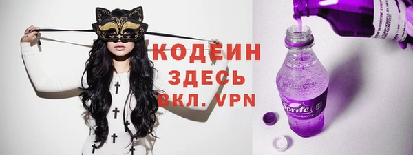 прущие грибы Сясьстрой