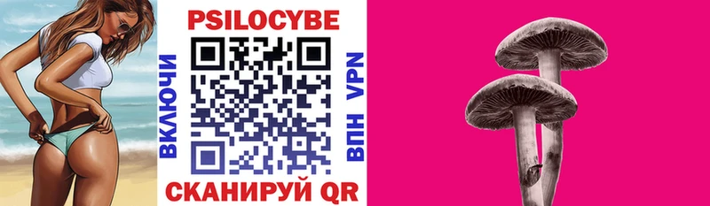 наркота Пикалёво Псилоцибиновые грибы прущие грибы